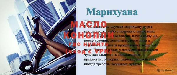 индика Елабуга